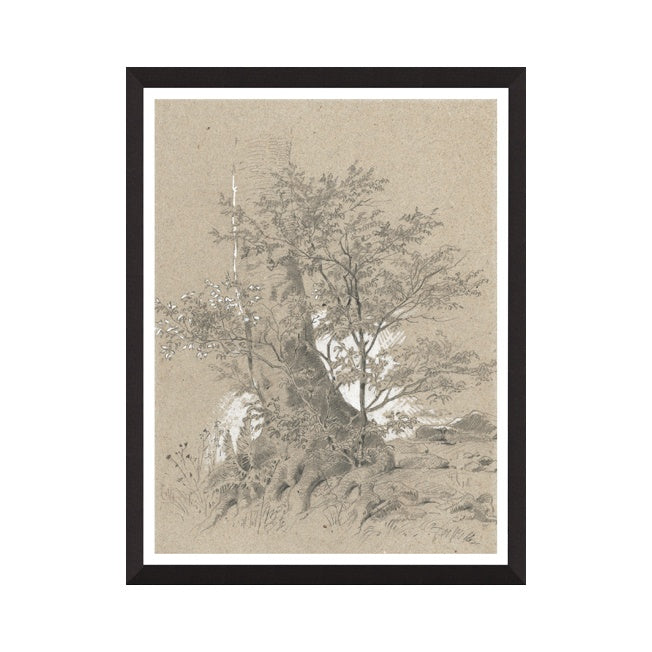 Impression encadrée « Étude forestière II »