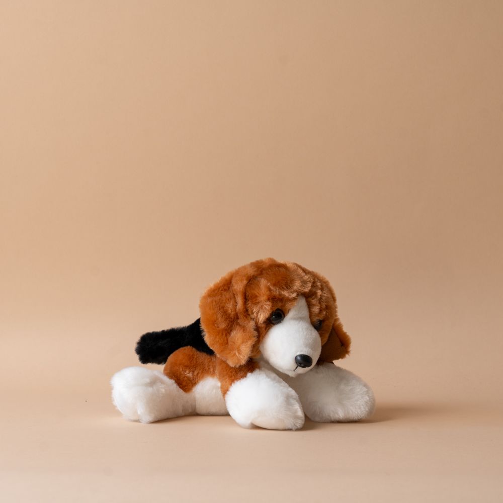 Benny le Beagle