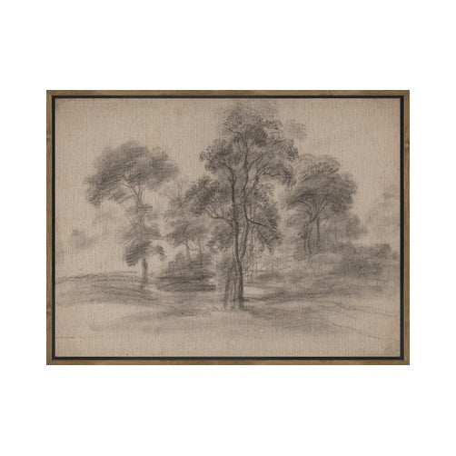 Toile encadrée Sepia Grove