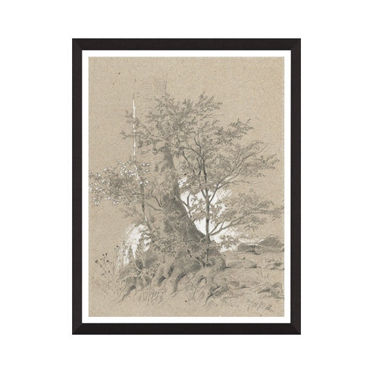 Impression encadrée « Étude forestière II »