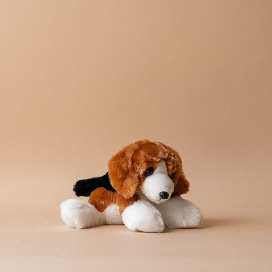 Benny le Beagle